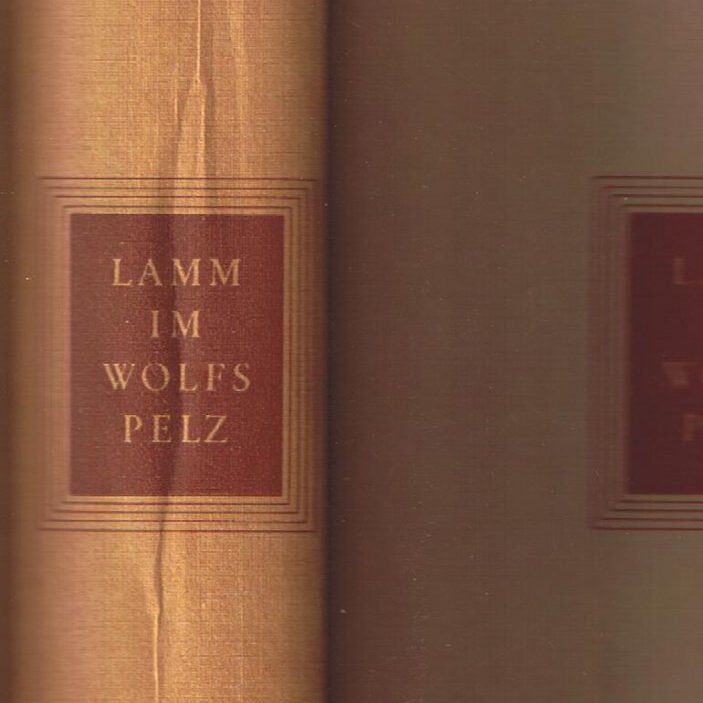 Lamm im Wolfspeltz